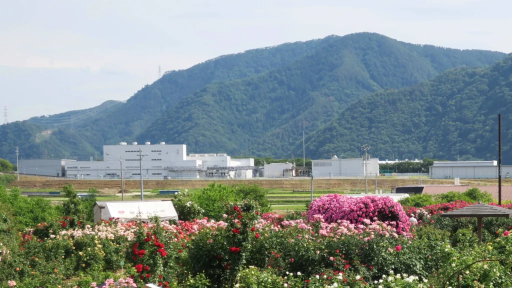 realmind expands high purity nmn development with japanese manufacturing expertise