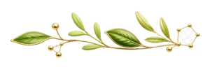 透明背景 金绿植物枝条 1