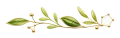 透明背景 金绿植物枝条 1